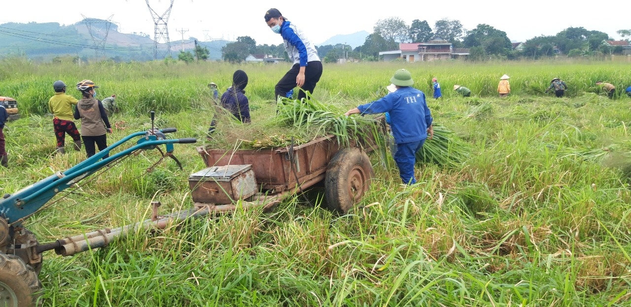 CĐCS huyện Nghĩa Đàn thực hiện nhiều cách làm mới trong công tác phòng, chống dịch bệnh CĐCS huyện Nghĩa Đàn thực hiện nhiều cách làm mới trong công tác phòng, chống dịch bệnh