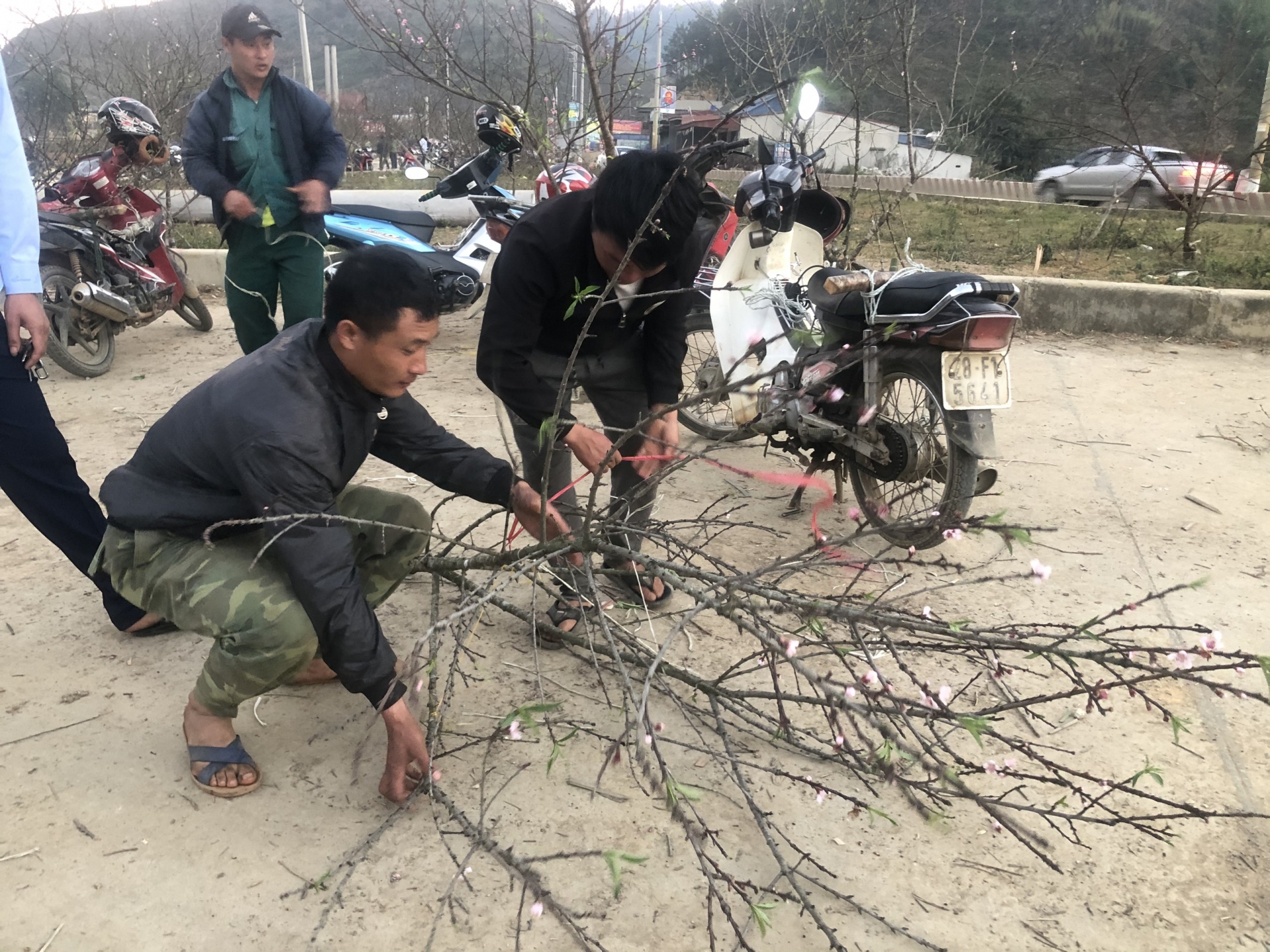 nhon nhip cho dao man rung doc quoc lo 6 nhung ngay giap tet