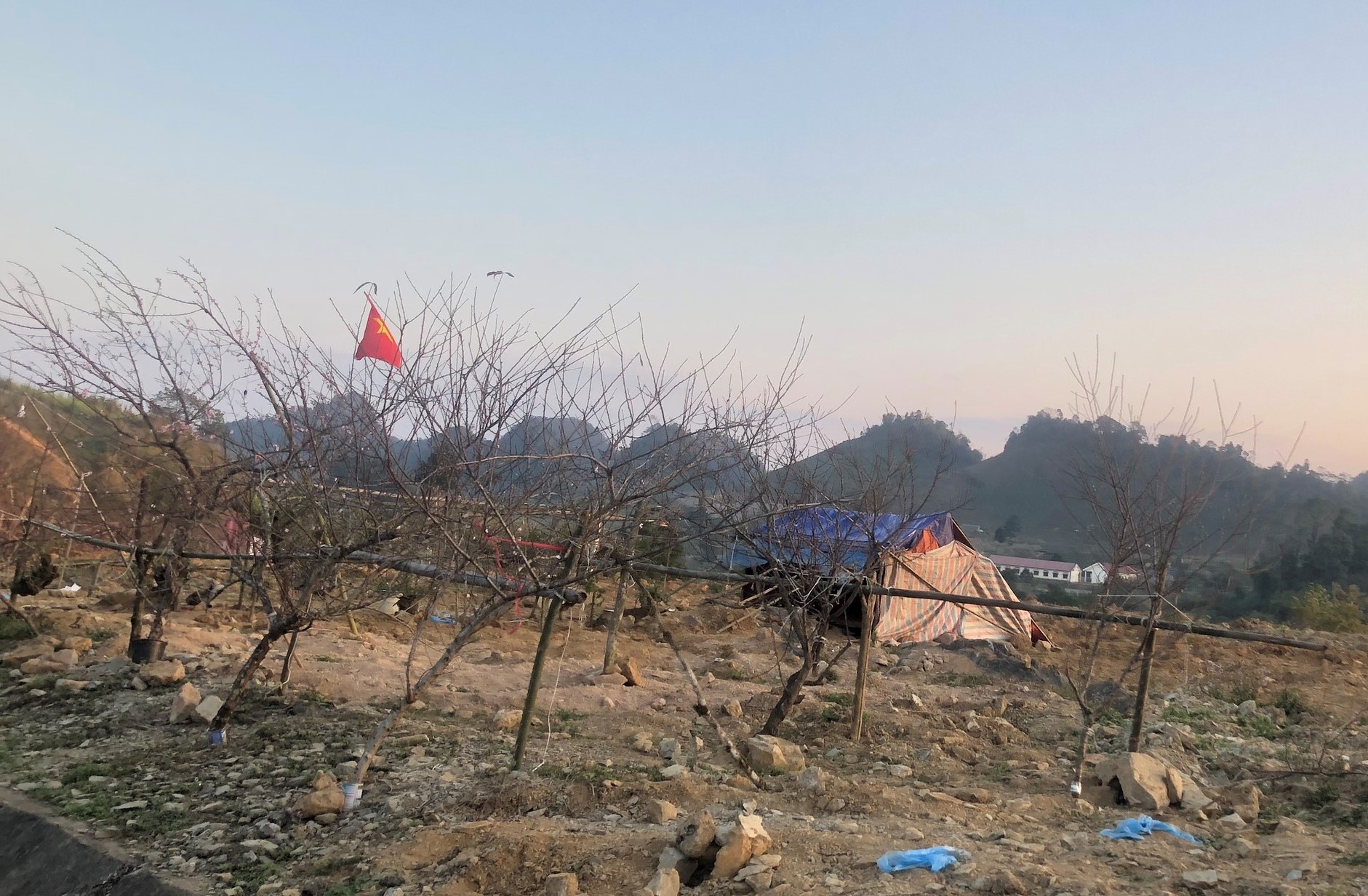 nhon nhip cho dao man rung doc quoc lo 6 nhung ngay giap tet