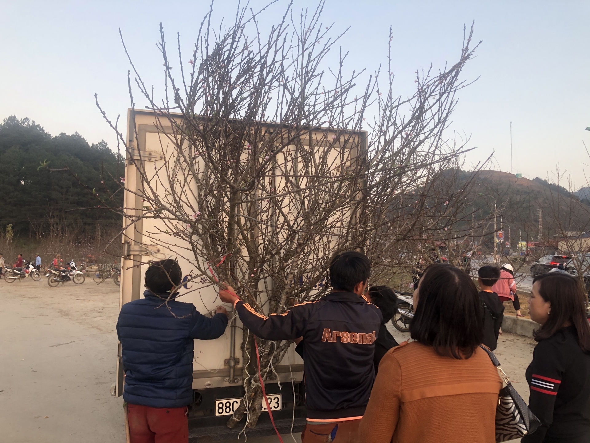 nhon nhip cho dao man rung doc quoc lo 6 nhung ngay giap tet