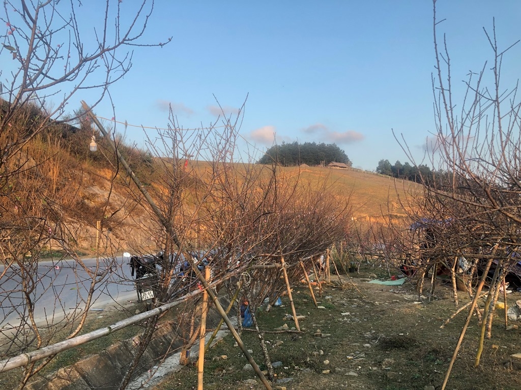 nhon nhip cho dao man rung doc quoc lo 6 nhung ngay giap tet