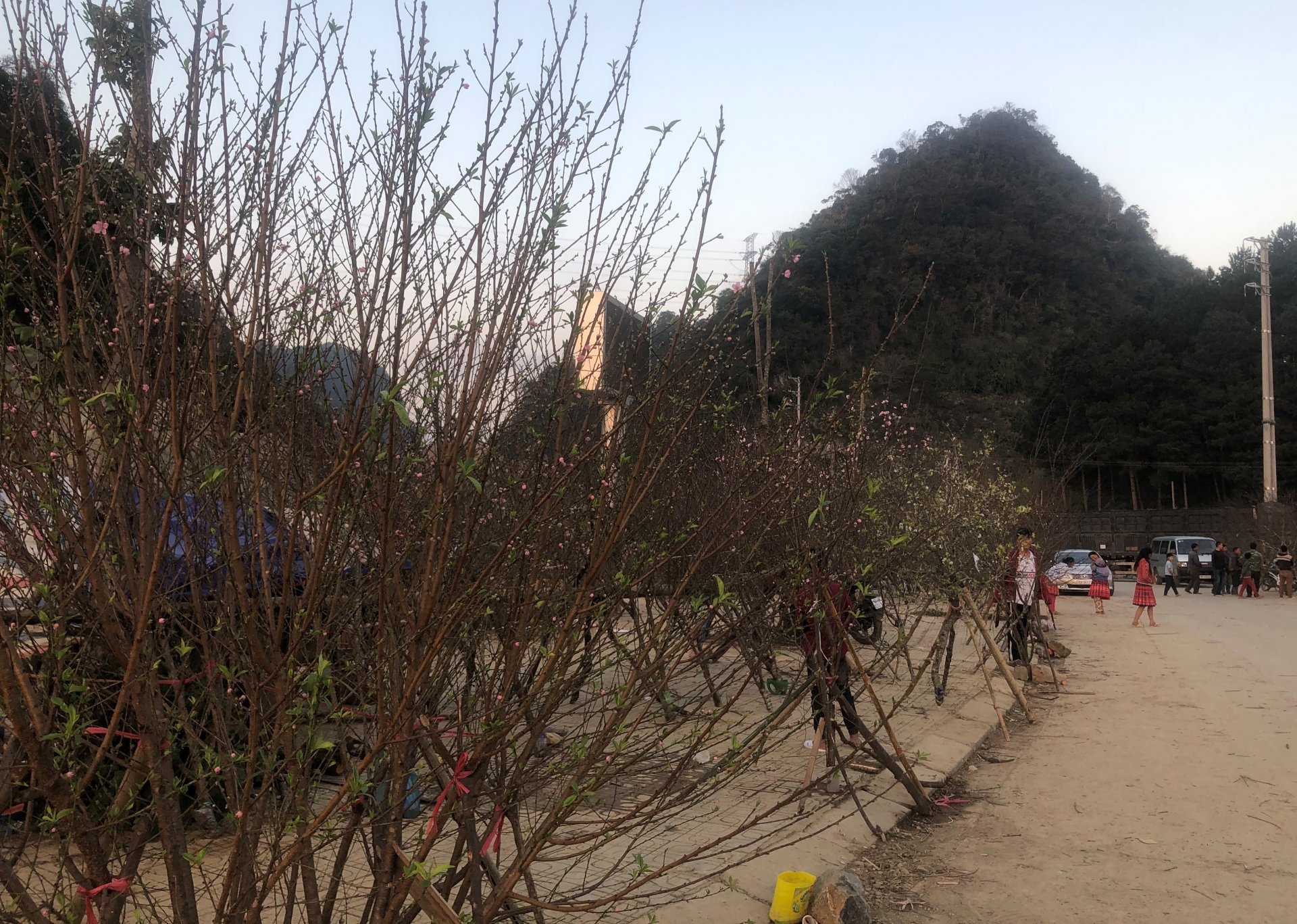 nhon nhip cho dao man rung doc quoc lo 6 nhung ngay giap tet