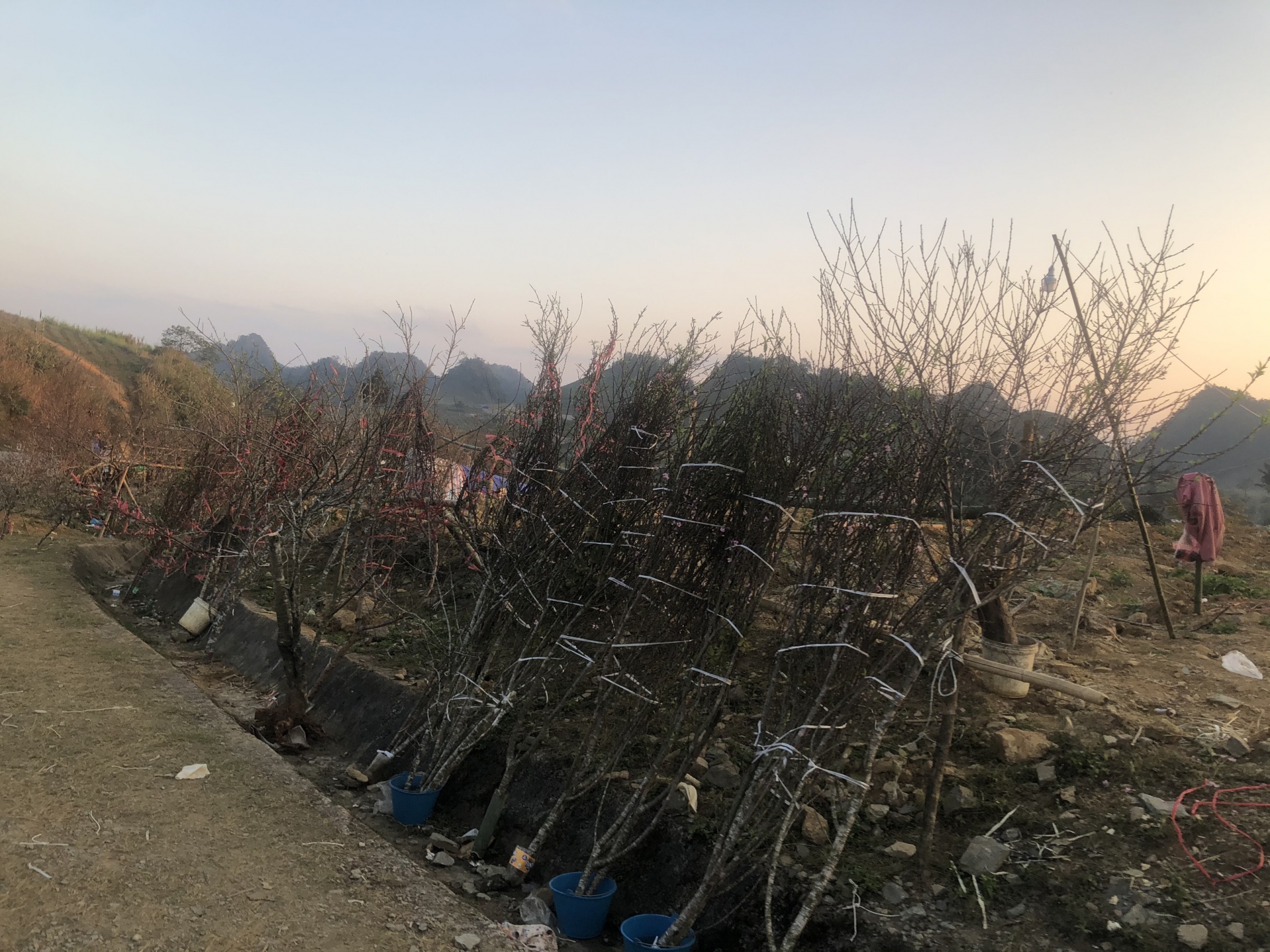 nhon nhip cho dao man rung doc quoc lo 6 nhung ngay giap tet