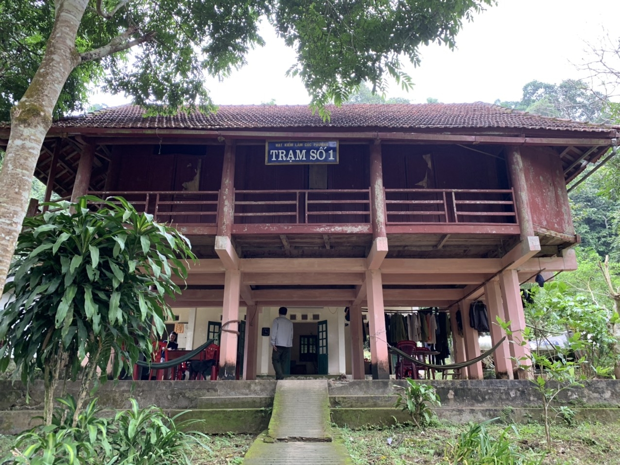 Tết xa nhà của những cán bộ kiểm lâm làm nhiệm vụ bảo vệ rừng tet xa nha cua nhung can bo kiem lam lam nhiem vu bao ve rung