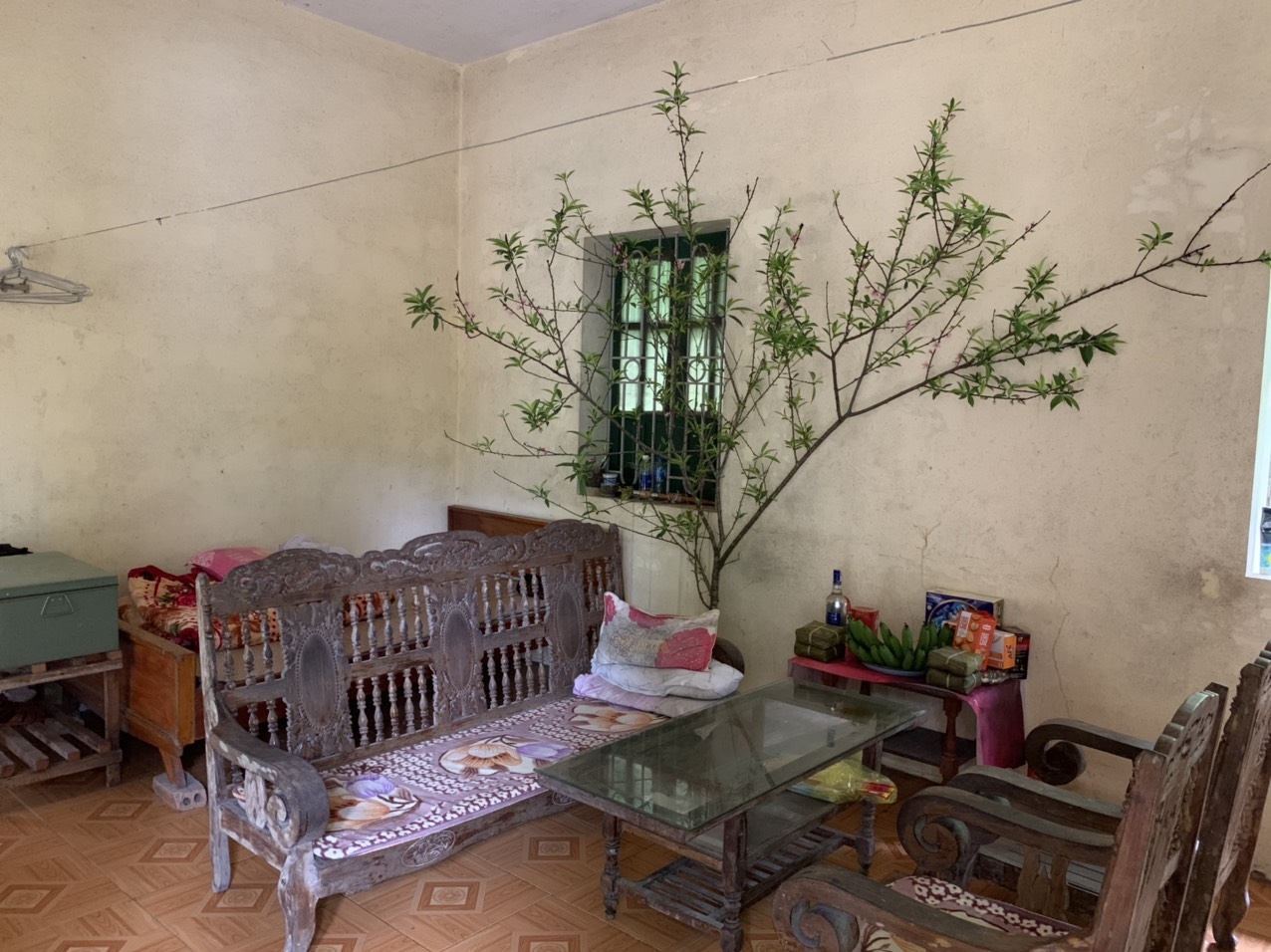 Tết xa nhà của những cán bộ kiểm lâm làm nhiệm vụ bảo vệ rừng tet xa nha cua nhung can bo kiem lam lam nhiem vu bao ve rung