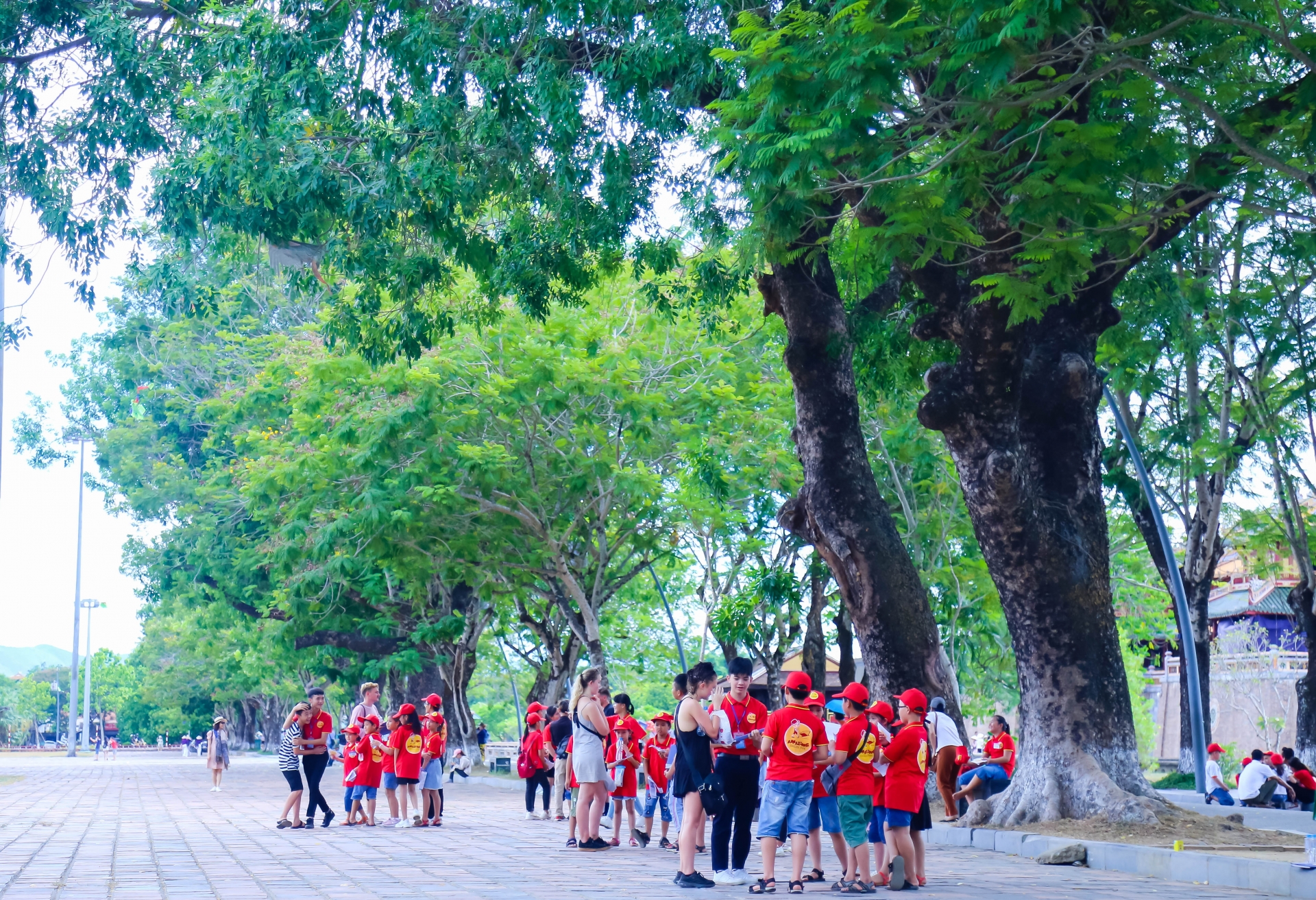 Huế sẽ đón du khách quốc tế bằng các chuyến bay thuê nguyên chuyến