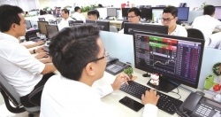 Nhiệt tỏa từ tin gói tín dụng 120.000 tỷ, thanh khoản HOSE phục hồi