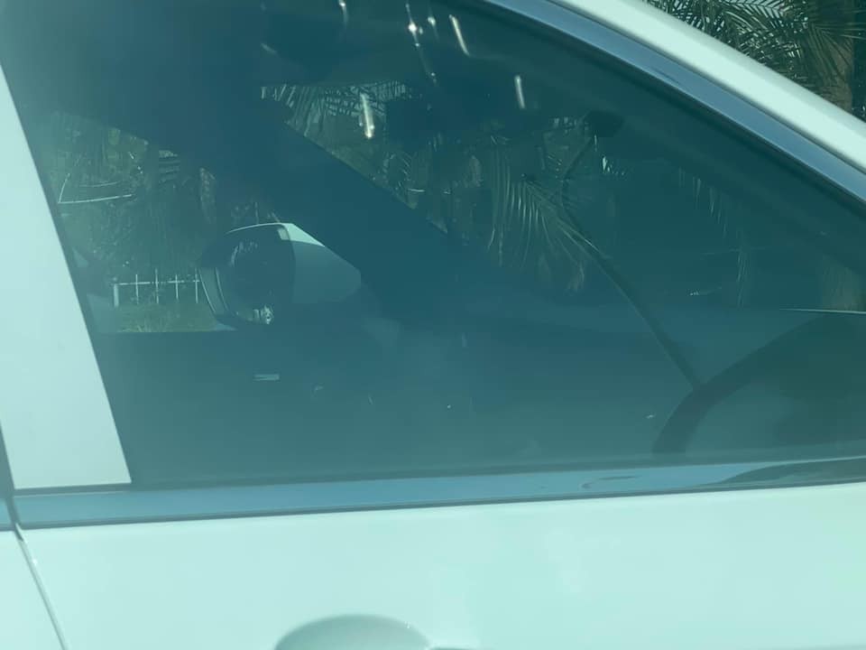 Dân mạng thích thú khi Dân mạng thích thú khi