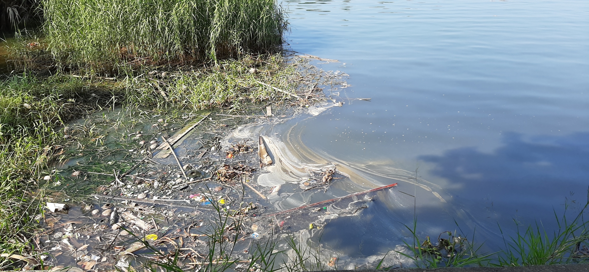 Ô nhiễm môi trường đâu chỉ mỗi Chùa Cầu mà còn cả xung quanh! o nhiem moi truong dau chi moi chua cau ma con ca xung quanh