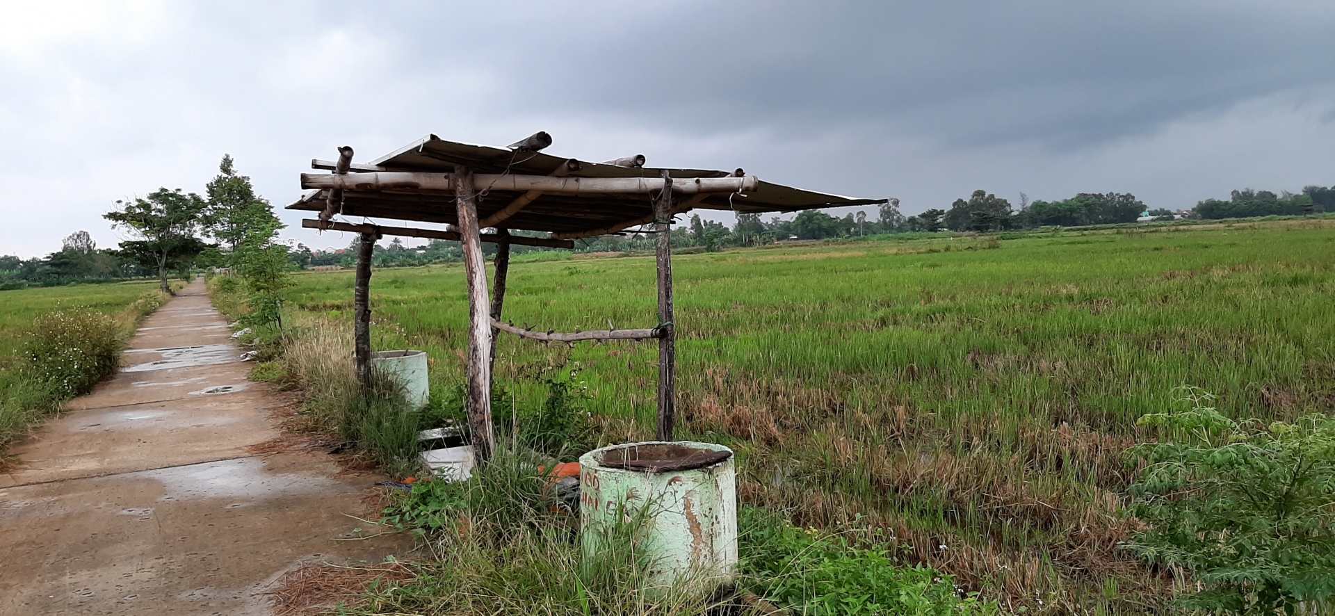 Bảo vệ môi trường, giữ sạch đường, đẹp ngõ là việc chẳng của riêng ai! bao ve moi truong giu sach duong dep ngo la viec chang cua rieng ai