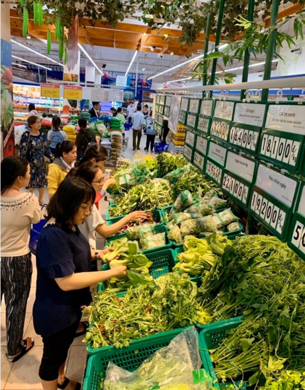 Nhiều khả năng cơn bão số 5 sẽ đổ bộ vào Khánh Hòa nhieu kha nang con bao so 5 se do bo vao khanh hoa