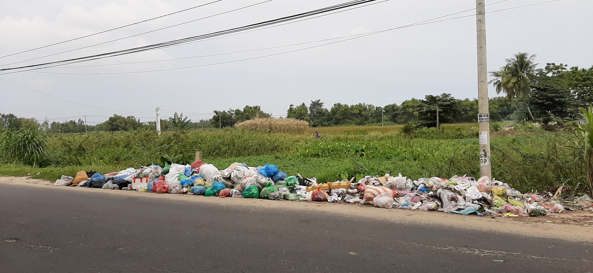 Rác thải còn ùn ứ nhiều nơi, chậm được thu gom gây ô nhiễm rac thai con un u nhieu noi cham duoc thu gom gay o nhiem