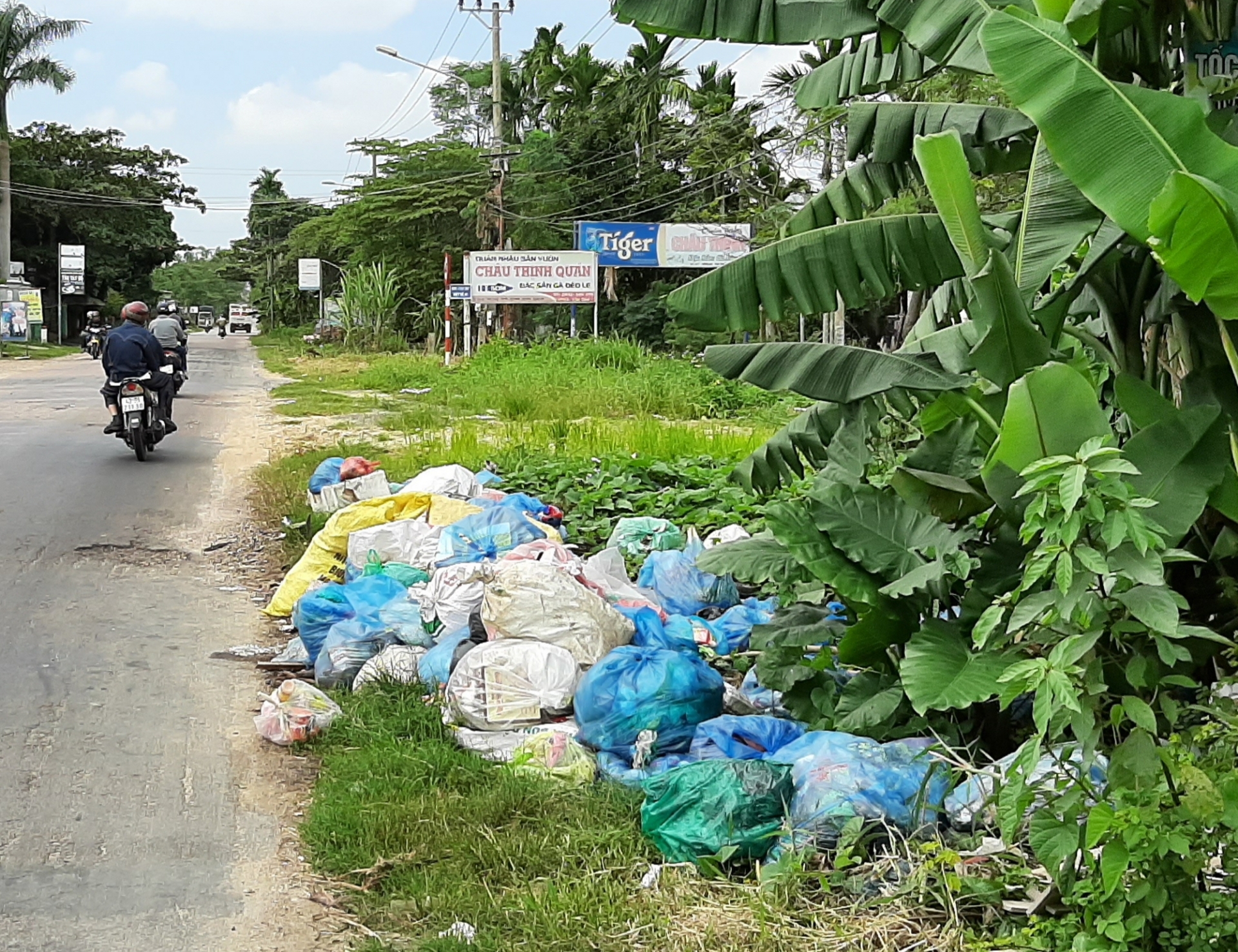Rác thải còn ùn ứ nhiều nơi, chậm được thu gom gây ô nhiễm rac thai con un u nhieu noi cham duoc thu gom gay o nhiem