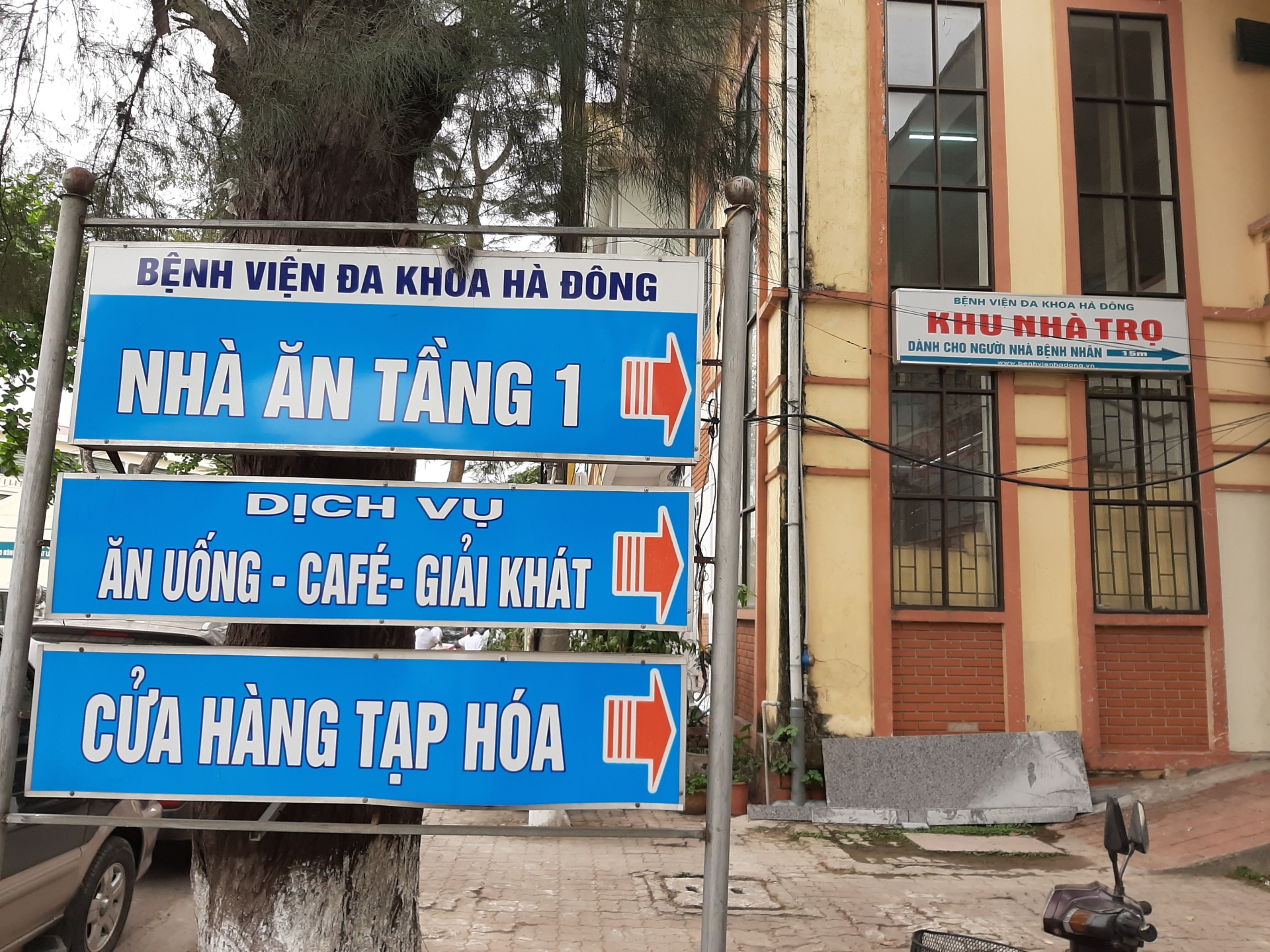 tu bach mai khien nhieu benh vien thay doi suy nghi noi chua benh khong so benh