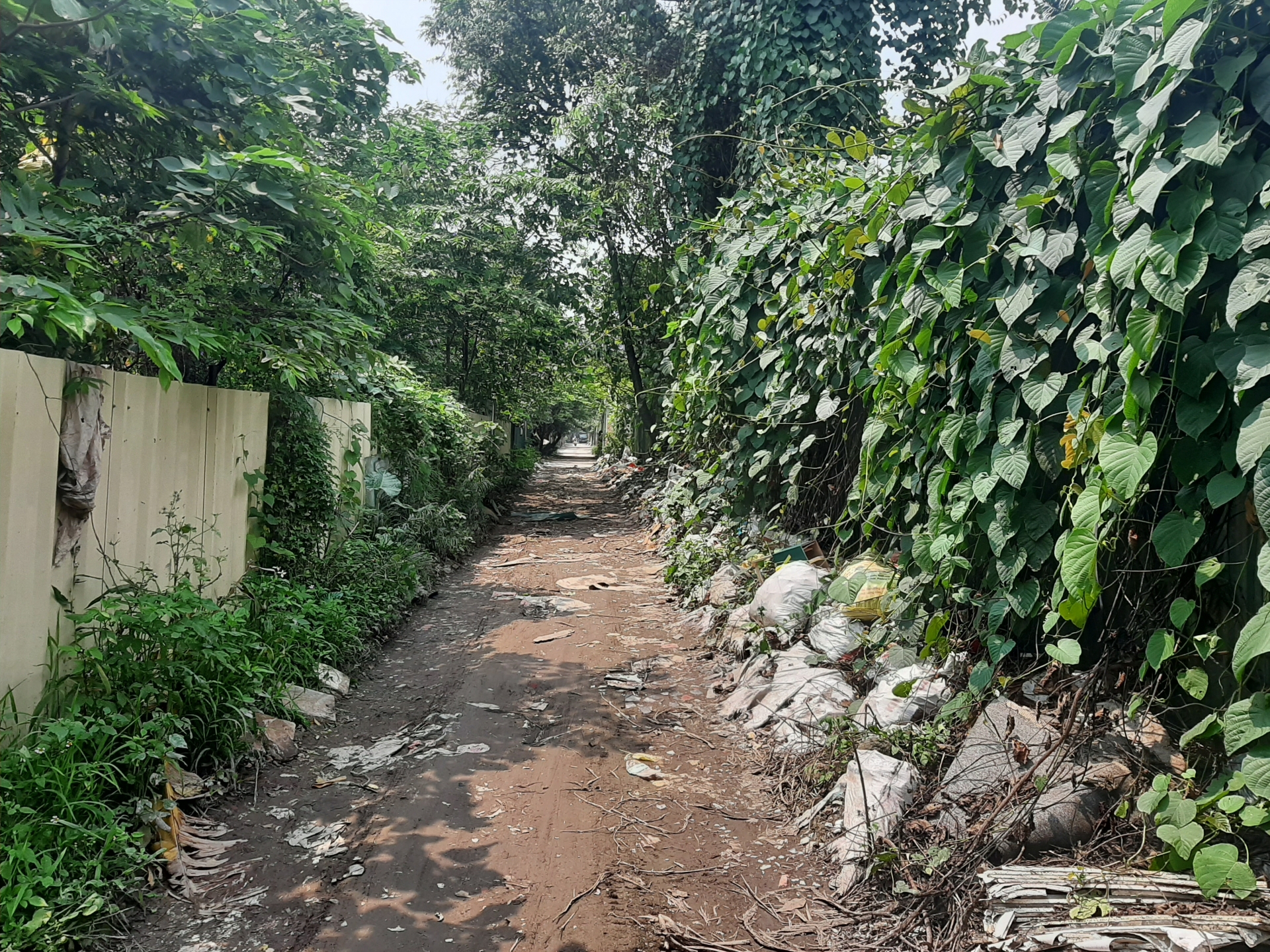 chuyen ve nhung nguoi khon kho trong nhung ngay cach ly xa hoi