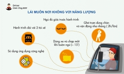 Hơn 6.400 người chết hằng năm do ngủ gật khi lái xe