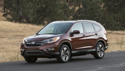 Honda Civic và CR-V tại Việt Nam đồng loạt mắc lỗi