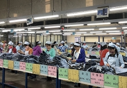 ldld tpho chi minh tuyen duong 90 guong sang dang vien