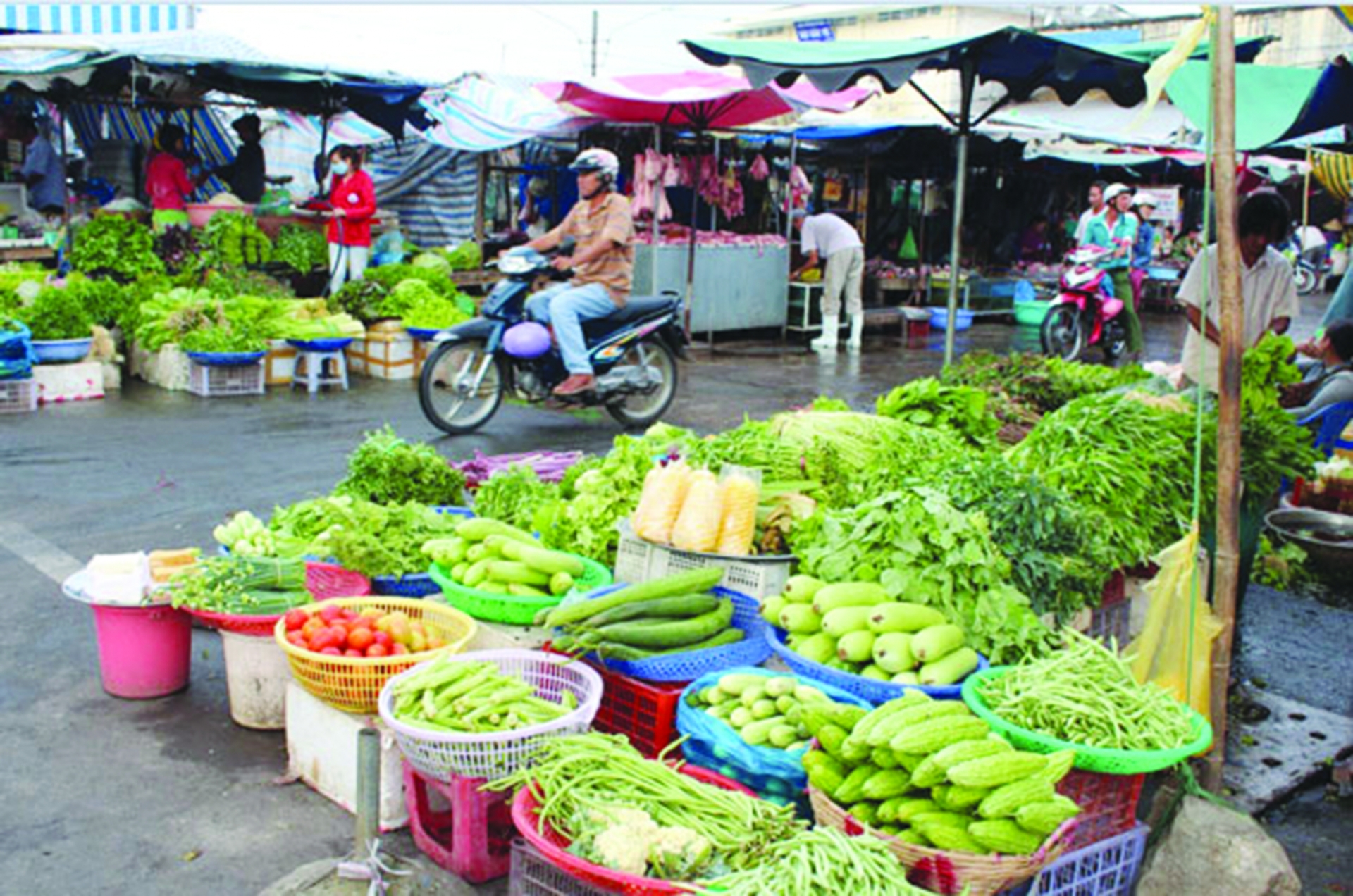 Làm sao để lựa chọn thực phẩm an toàn giữa “ma trận” thực phẩm bẩn? lam sao de lua chon thuc pham an toan giua ma tran thuc pham ban