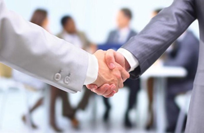 nam 2020 de lam an thanh cong tuoi ty nen ket hop voi tuoi nao