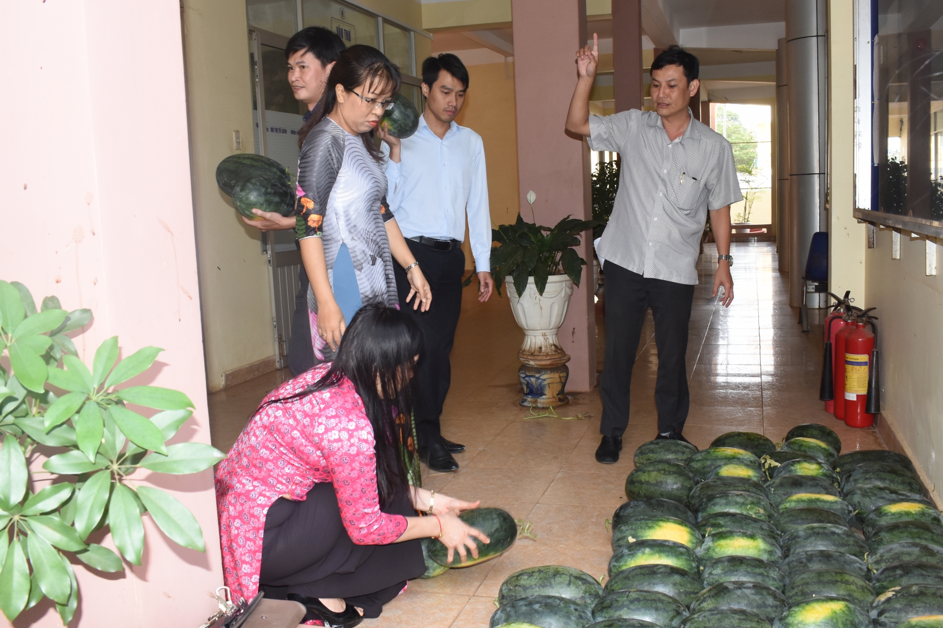 Công đoàn Giáo dục tỉnh Đắk Lắk trợ giúp nông dân tiêu thụ dưa hấu cong doan giao duc tinh dak lak tro giup nong dan tieu thu dua hau