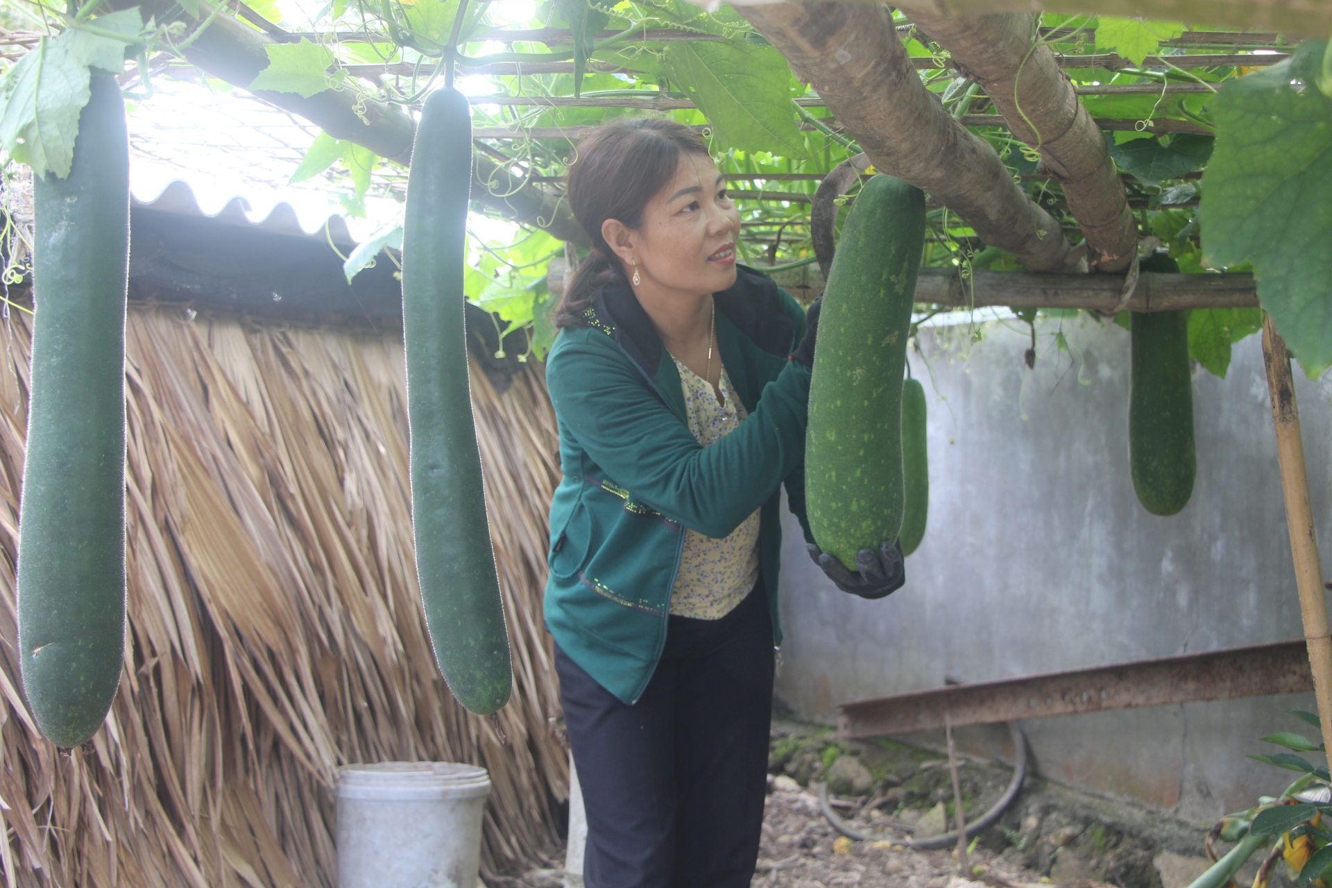 Ghi nhận từ phong trào “Giỏi việc nước, đảm việc nhà” ở một huyện vùng cao Hà Tĩnh ghi nhan tu phong trao gioi viec nuoc dam viec nha o mot huyen vung cao ha tinh