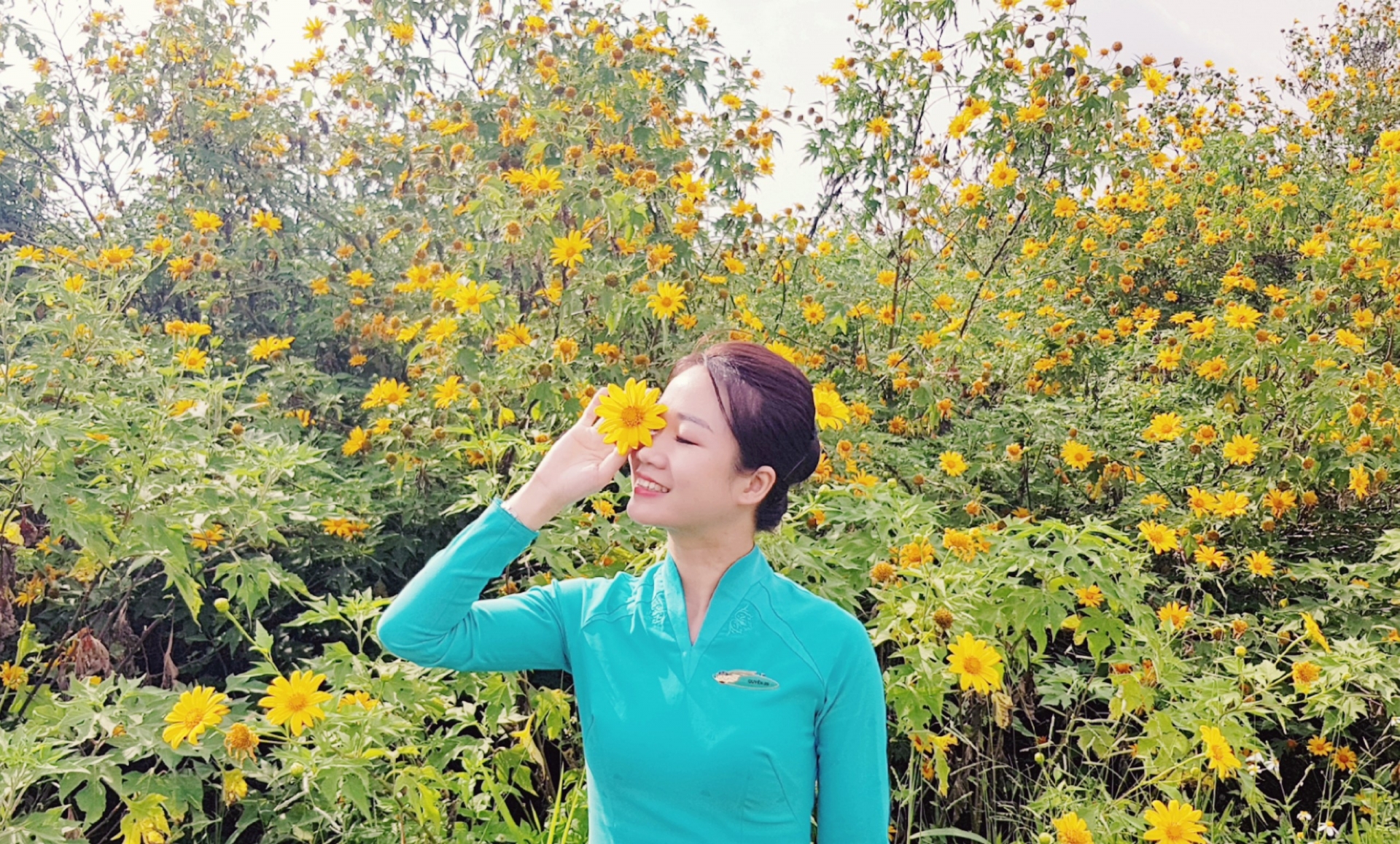 “Chiến binh Sen Vàng” sẵn sàng cất cánh cùng Vietnam Airlines và Tổ quốc chien binh sen vang san sang cat canh cung vietnam airlines va to quoc