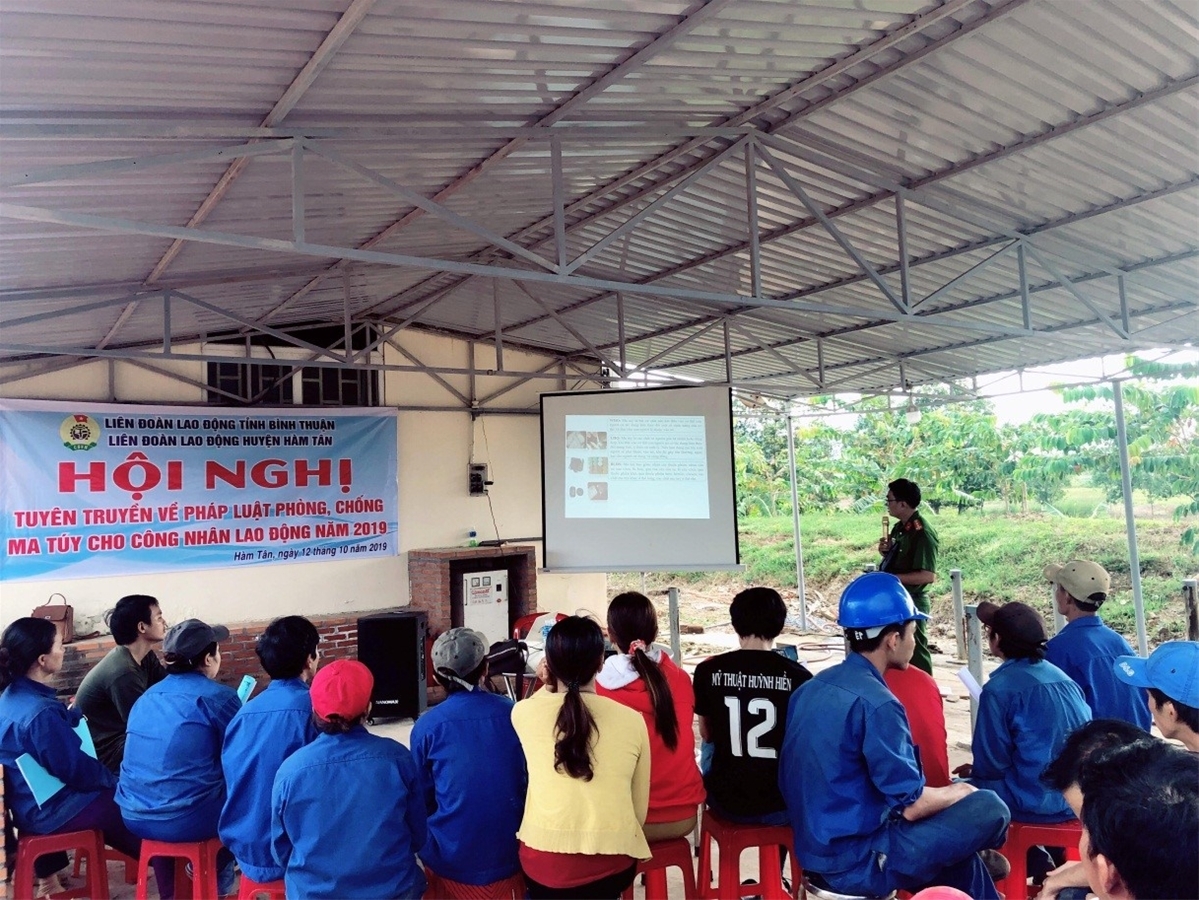 ngan chan hiem hoa ma tuy trong cong nhan lao dong 48988