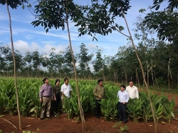 kien tri voi nhung de xuat cua cong doan trong du thao bo luat lao dong sua doi