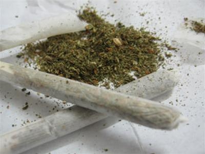 ma tuy gom nhung loai gi