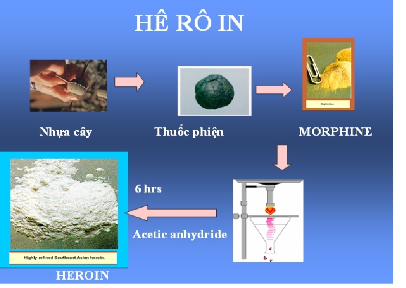 Các loại ma túy phổ biến bạn cần biết (phần 1) cac loai ma tuy pho bien ban can biet phan 1