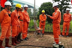 kien nghi chinh quyen quan tam hon atvsld va bua an ca cho nld