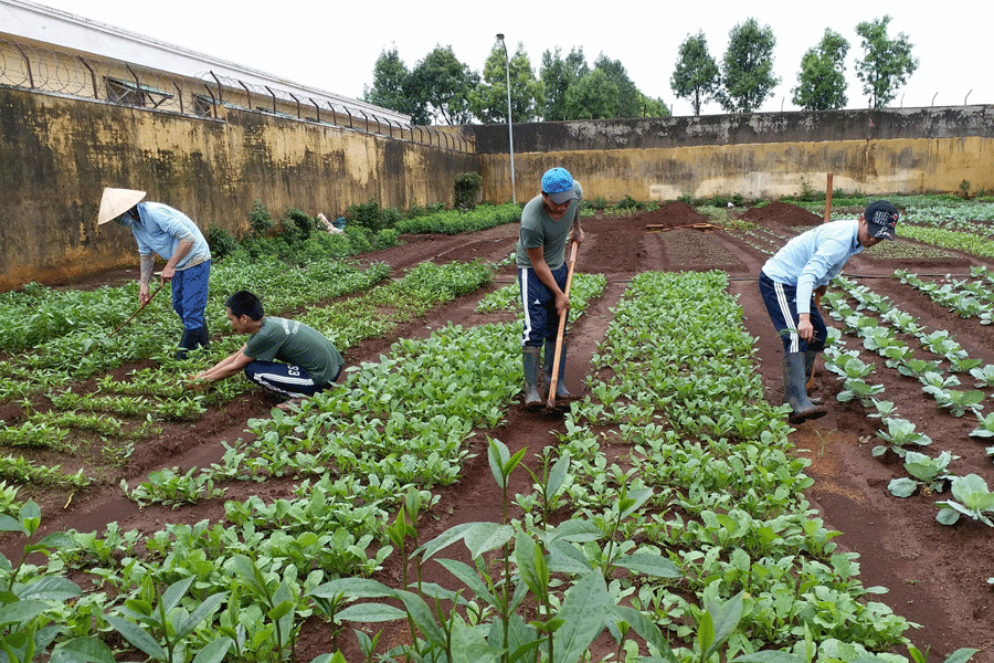 Kỳ 7: Cai nghiện ma túy – giải pháp giúp người nghiện tái hòa nhập cộng đồng