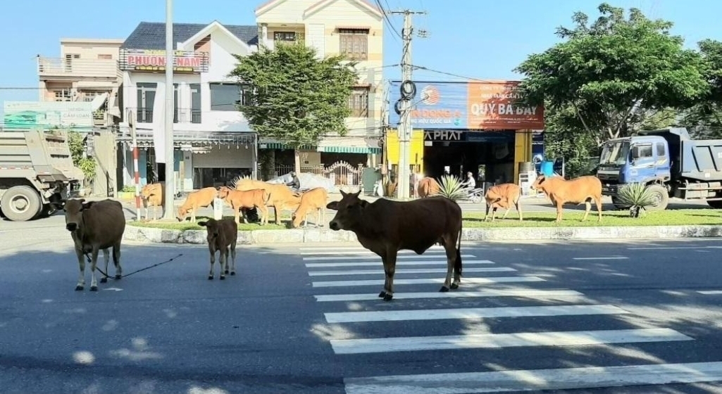 KẾT QUẢ bình luận bằng thơ vui "Bình gì đây tuần này?" TUẦN 4 trên "Sân vui cuối tuần" KẾT QUẢ bình luận bằng thơ vui "Bình gì đây tuần này?" TUẦN 4 trên "Sân vui cuối tuần"