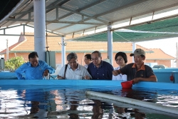 diem tua cua nhieu nguoi lao dong khuyet tat