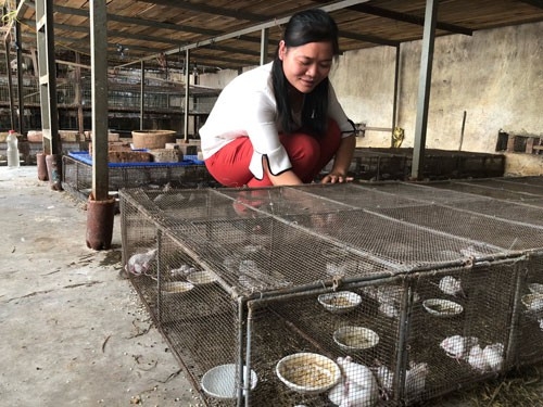 Giúp công nhân lao động thoát nghèo giup cong nhan lao dong thoat ngheo