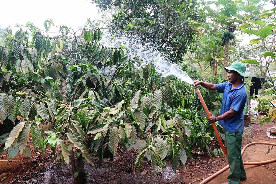 Lan tỏa phong trào phát triển kinh tế gia đình ở Công ty Cao su Chư Pah lan toa phong trao phat trien kinh te gia dinh o cong ty cao su chu pah