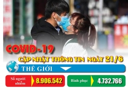 dau ca roi nhung canh en bao xuan