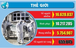 vinh danh nhung can bo cong doan uu tu