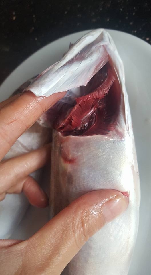 nguy co ngo doc tu hai san bao quan khong dung cach