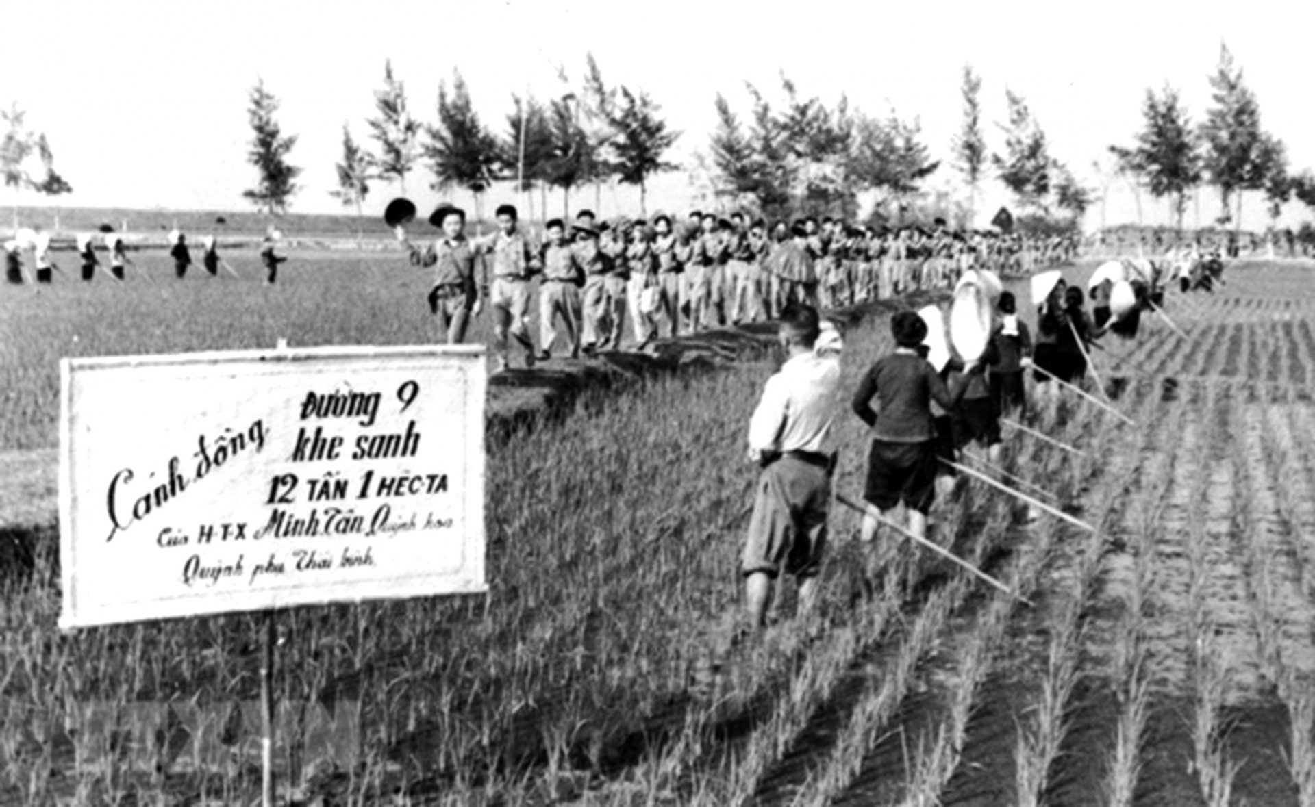 Xứng đáng là cánh tay vững chắc của Đảng Xứng đáng là cánh tay vững chắc của Đảng