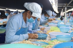 Hơn 11.000 sáng kiến, cải tiến, giải pháp công tác làm lợi hàng chục tỷ đồng