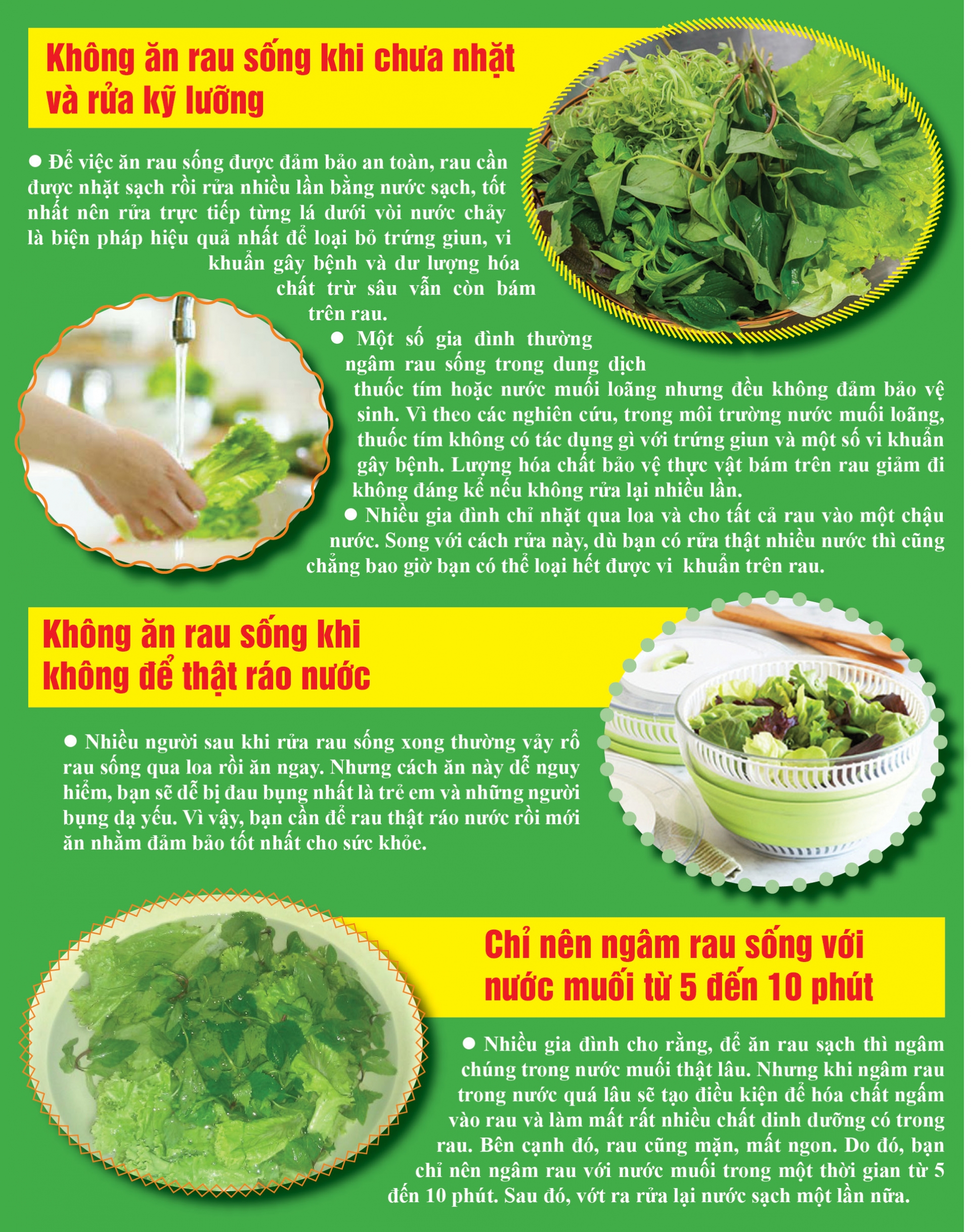 Rửa rau sống đúng cách giúp bảo vệ sức khỏe