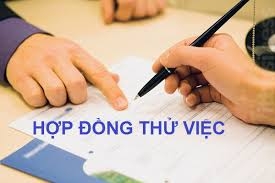 Lương thử việc có phải đóng thuế thu nhập cá nhân không?