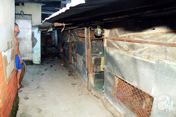 Lại nói chuyện nam nữ công nhân ở cùng, sống thử lai noi chuyen nam nu cong nhan o cung song thu