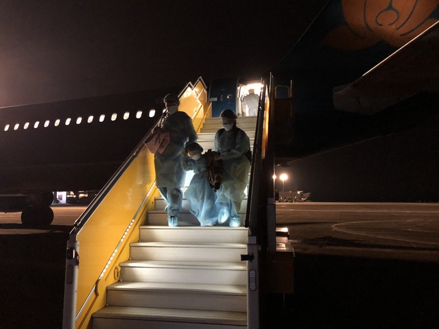 don nguoi lao dong tu chau phi va dua benh nhan nguoi anh ve nuoc niem vui nhan doi