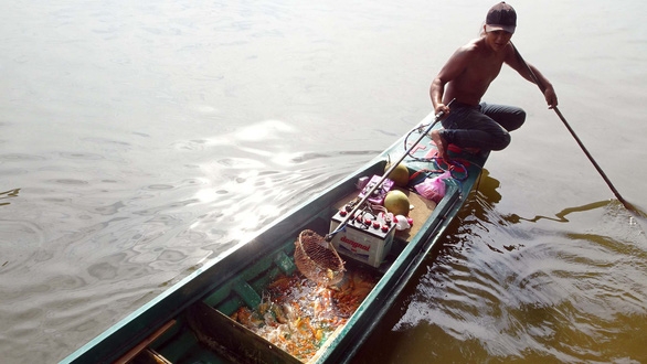 Mùa Vu Lan - Tục phóng sinh và an toàn sinh thái (kỳ 4) mua vu lan tuc phong sinh va an toan sinh thai ky 4