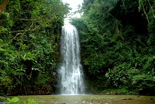 Xác định 32 cây gỗ bị đốn hạ trong vườn quốc gia Kon Plông kon tum xac dinh 32 cay go bi don ha trong vuon quoc gia kon plong