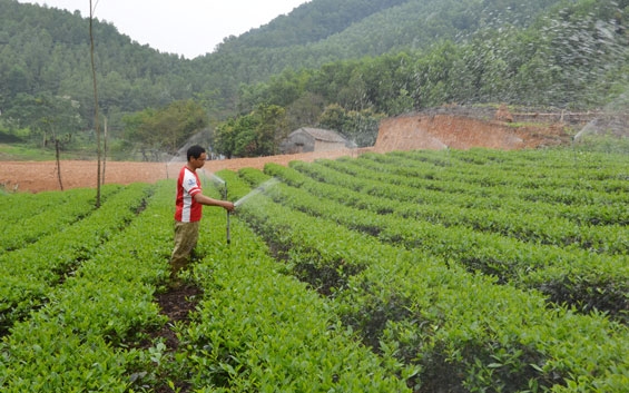 Giải quyết hậu quả tuyến đường vi phạm cao trình hồ Núi Cốc giai quyet hau qua tuyen duong vi pham cao trinh ho nui coc
