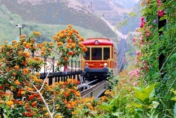 Du lịch Việt Nam cần làm gì để phát huy?